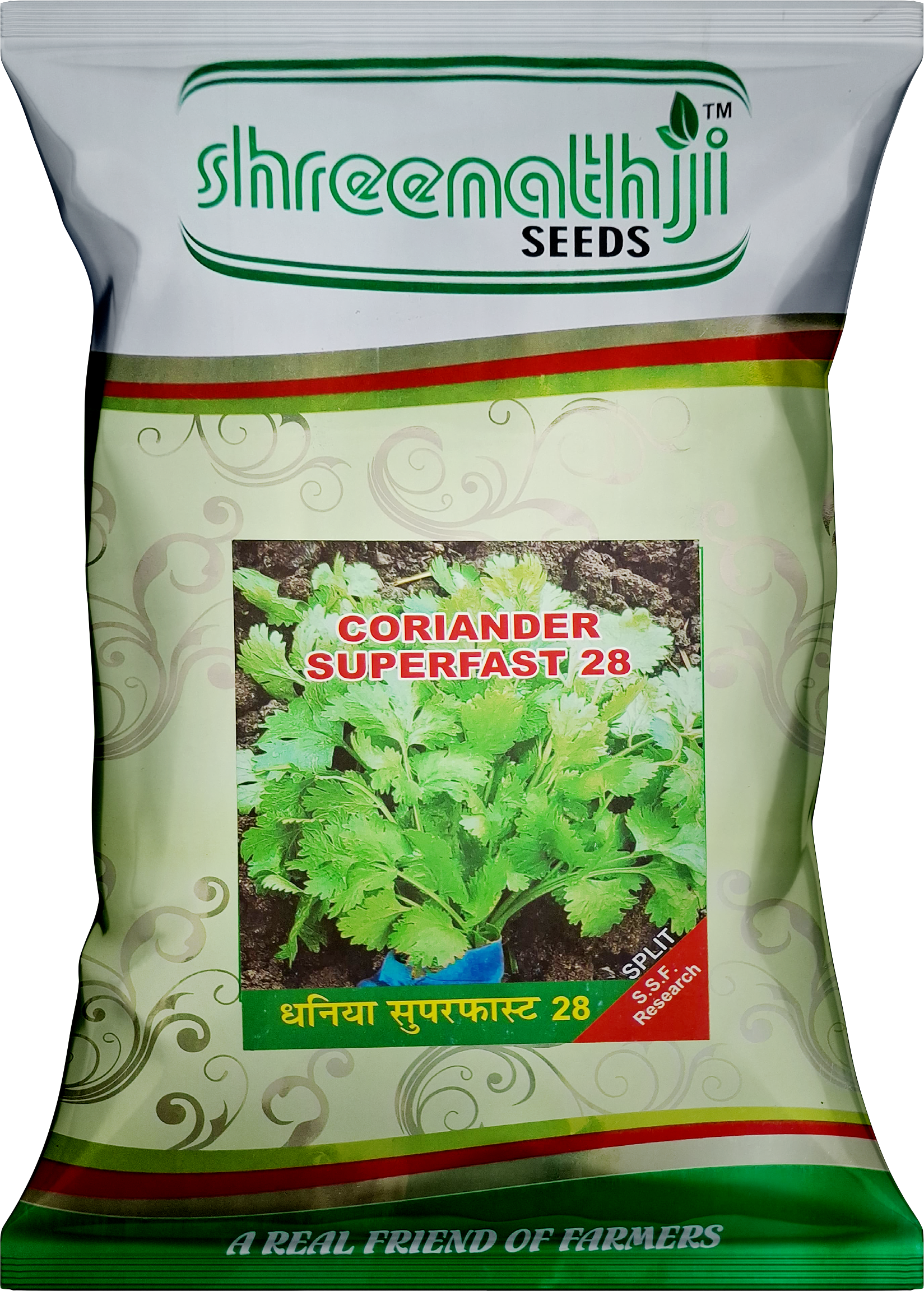 કોથમીર સુપરફાસ્ટ 28